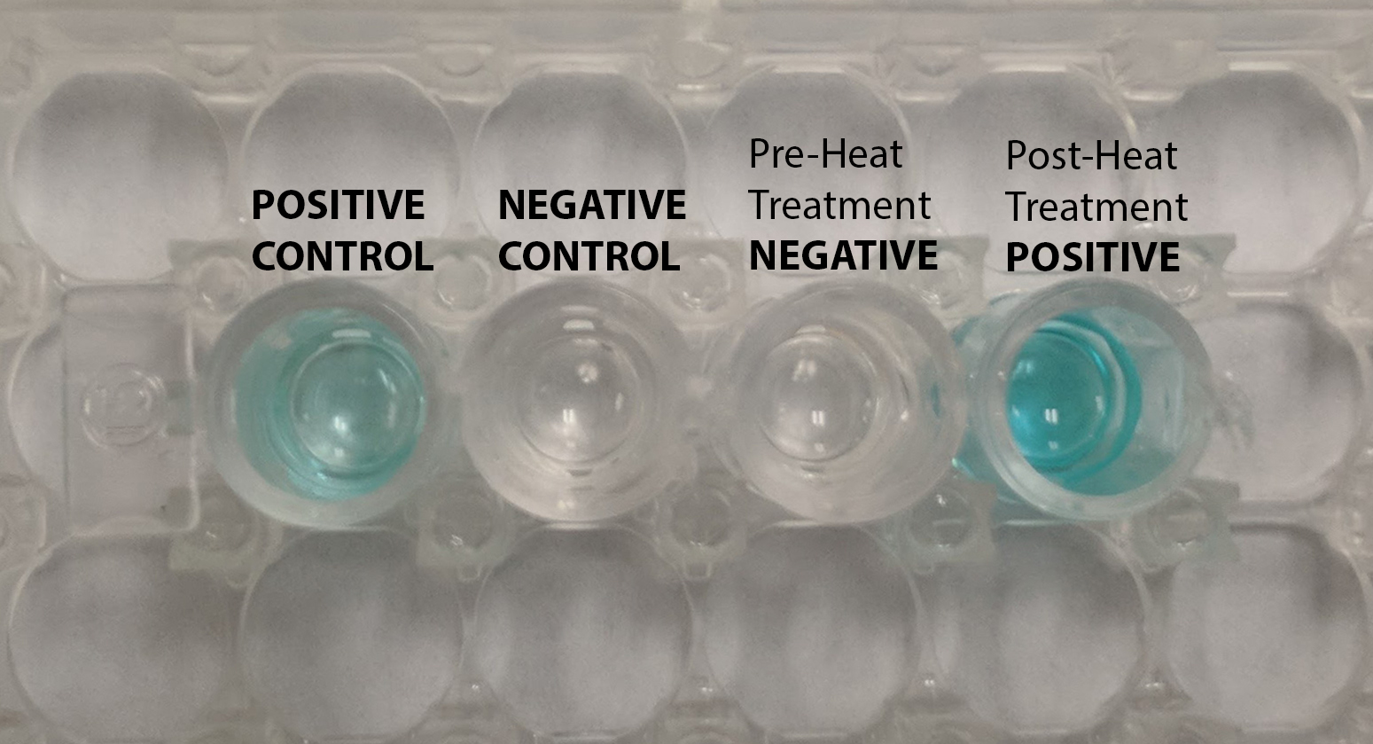 Heartworm antigen deals